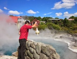 Hangi Cooking at Whakarewarewa Maori Village Rotorua Cruise Ship Shore Excursion